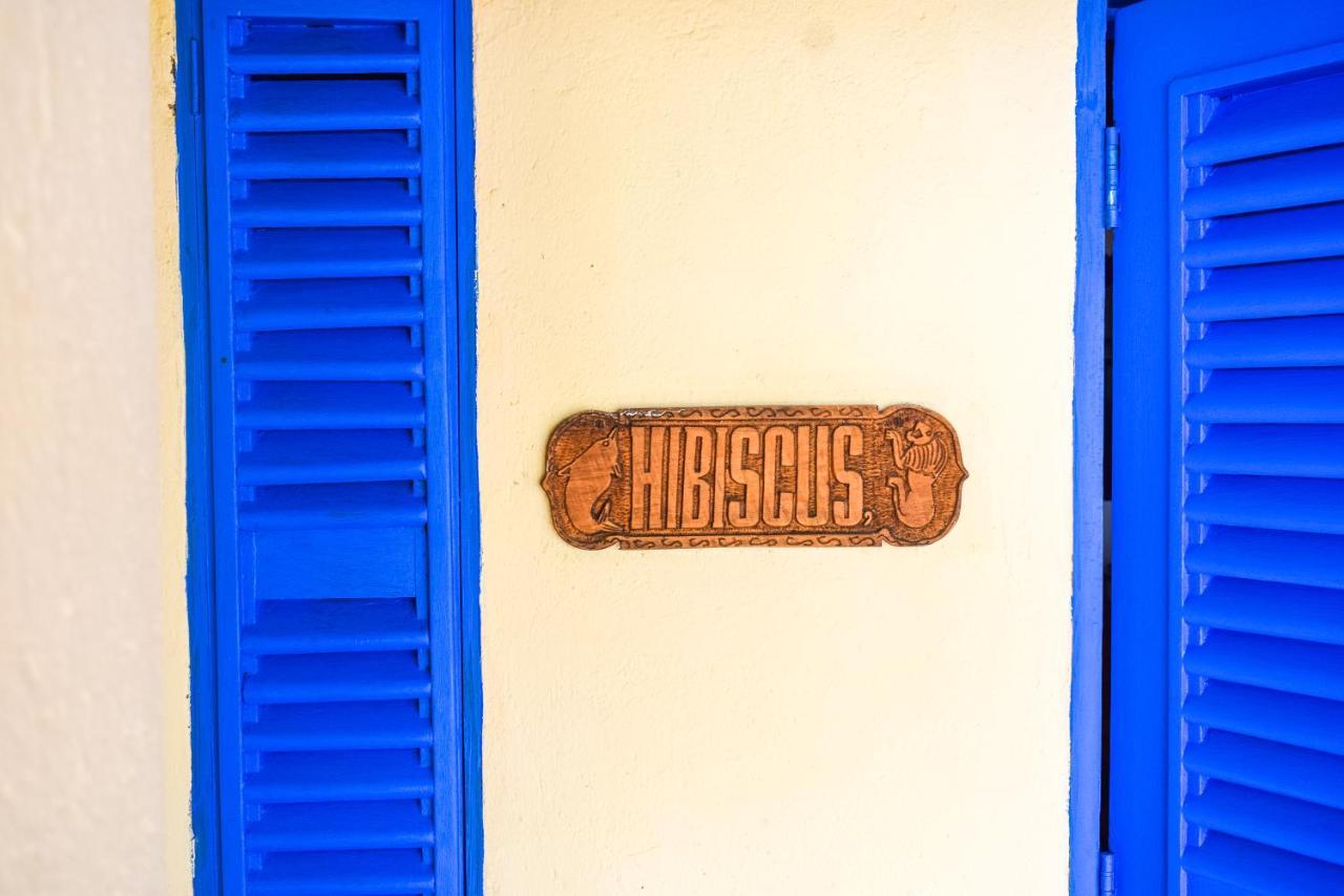 Hibiscus Beach House Pangani Экстерьер фото